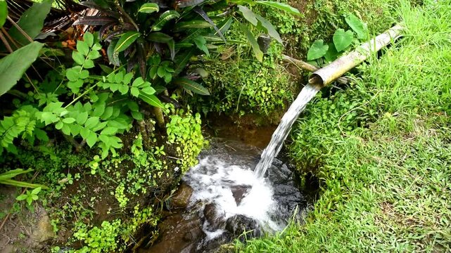 Small water irrigation on the rice field
