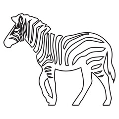 Zebra Illustration