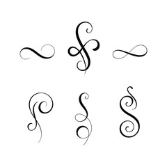 Collection of elegant black decorative flourishes and swirls on white background