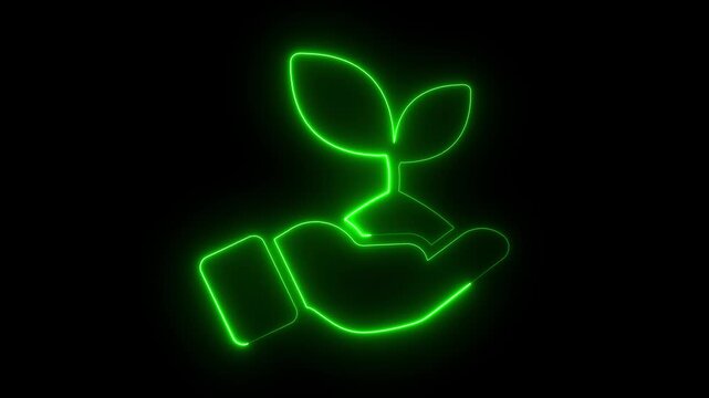 Neon line color Animated leaf icon with neon saber effect. black background. Neon Glowing Plant Icon Animation &ndash; Minimalist abstract glowing neon leaf icon animation .Tropical neon sign.