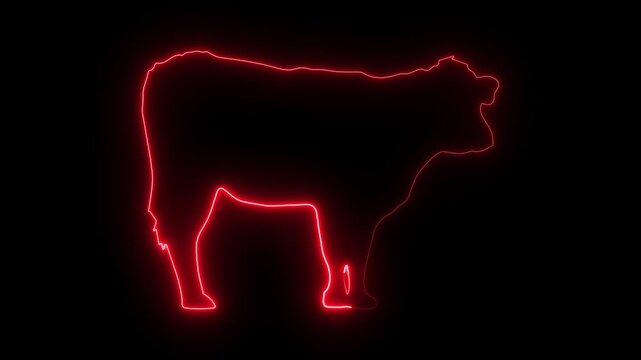 cow icon animation on black background.4k video neon sign of cow icon animation. Animated neon Icon of a cow with a glowing neon effect, glowing Animal neon farm icon black background.