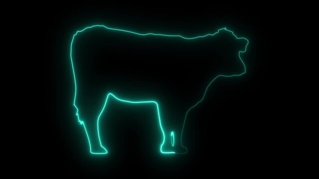 cow icon animation on black background.4k video neon sign of cow icon animation. Animated neon Icon of a cow with a glowing neon effect, glowing Animal neon farm icon black background.