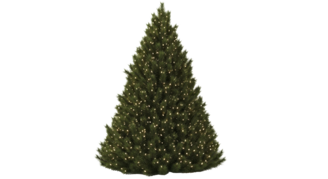 Christmas Tree with Warm Glowing Lights on a Transparent Background PNG Image