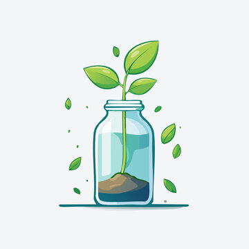 Young Green Plant Sprouting Inside a Clear Glass Jar.