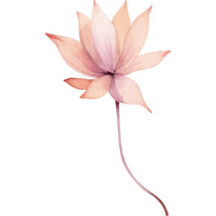 Fototapeta premium Delicate Peach Colored Lotus Flower with a Slender Stem Isolated on a Transparent Background Watercolor Style