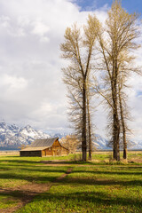 The barn sits quietly in the valley, with Teton peaks and a moody sky stretching above, and a tree in the foreground.