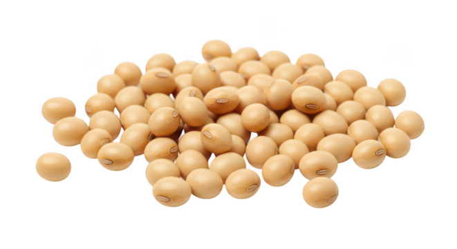 Pile Of Raw Soybeans Isolated On Black Background