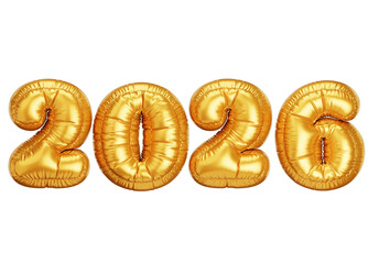 2026 New Year