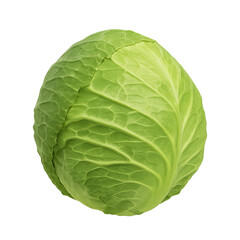 Obraz premium Fresh Green Cabbage Close-Up on White Background for Healthy Meals