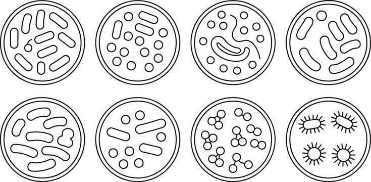 Petri dish microorganism culture black and white line art