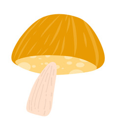 Whimsical orange mushroom graphic isolated on white background, simple nature element