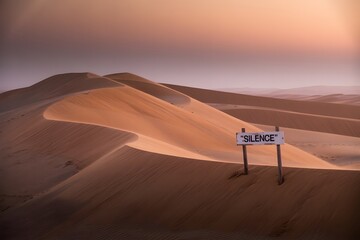 A solitary wooden sign inscribed with the word silence stands on a sand dune in a vast desert landscape under a soft sunset sky casting long shadows across the undulating terrain