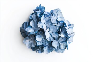 A vibrant blue hydrangea bush with delicate petals, set against a backdrop of lush green leaves and a serene blue sky.