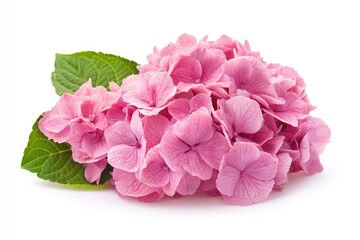 A vibrant pink hydrangea bush with lush green leaves, set against a backdrop of a serene lake and rolling hills under a clear blue sky.