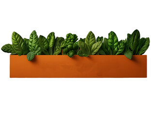 green plant in flowerpot