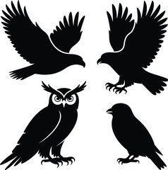 Obraz premium Black Silhouettes of Eagle Owl and Two Birds in Flight