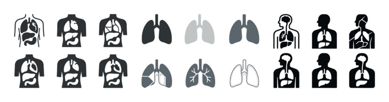 Human respiratory system diagrams: anatomy icons of lungs and thorax in various styles