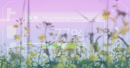 Swaying yellow flower cluster catching pastel light in meadow, with HUD showing 77% processing