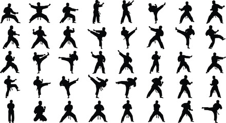 Martial arts fighter silhouettes performing various karate kicks, training stances, combat poses and defensive movements isolated on white background for sports design