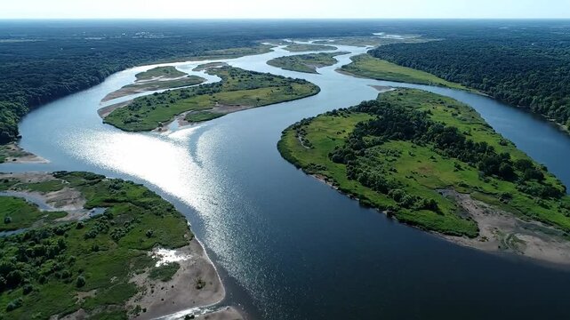 Aerial View of a Winding River Through Lush Green Forest Under Bright Sunlight With Sparkling Water Reflections