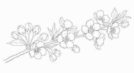 Fototapeta premium Elegant line art illustration of a blossoming branch with flowers, buds, and leaves. Delicate details create a graceful floral motif.