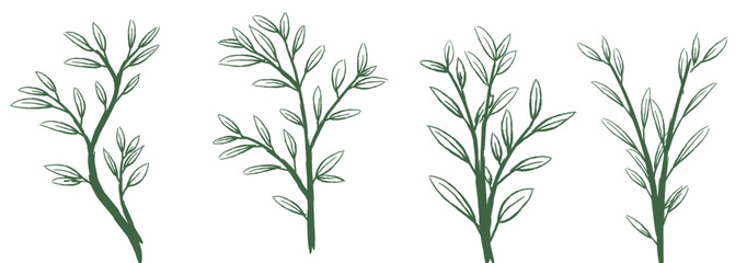 Abstract Plant Stems Line Art Illustration
