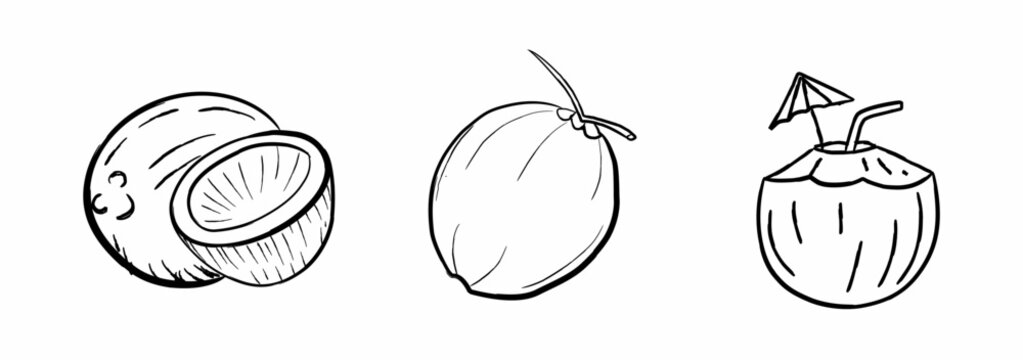Simple line art illustration of coconuts including whole coconut, half-cut coconut, and coconut drink. Minimal outline design perfect for tropical themes, summer graphics, beverage branding