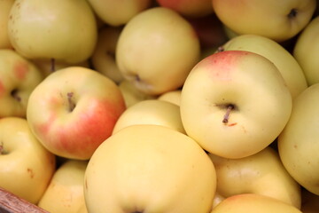 Yellows apples in the market. Food and fruit and good nutrition. Healthy food and apples. Yellow and fruit background. Fruit price and market.