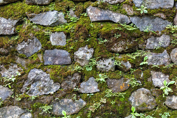 stone wall made of rough, unhewn rocks in the tropical climate of nothern  Bali, Indonesia. Moss growing over the surface as a result of the warm, hunit climate. 
