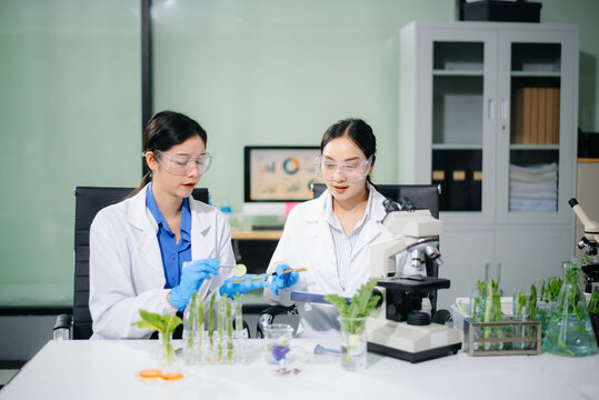 Asian female scientists analyze food samples in lab with microscope, gloves, and plants for safety, nutrition, biotech, and agricultural research.