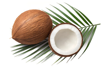 Whole and Halved Coconut with Palm Leaf Isolated on Transparent Background