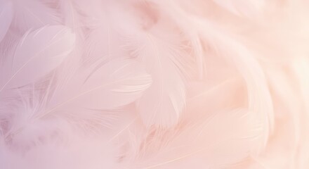 Obraz premium A soft, delicate background texture composed entirely of intricately arranged white and pale pastel feathers, creating a dreamy surface ,texture ,fine art ,subtle texture