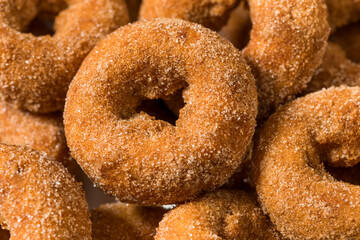 Sweet Homemade Mini Apple Cider Donuts