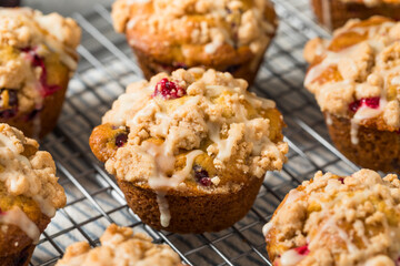 Autumn Homemade Cranberry Orange Muffins