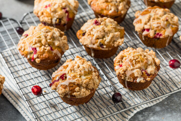 Autumn Homemade Cranberry Orange Muffins
