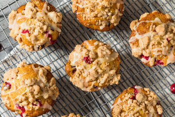 Autumn Homemade Cranberry Orange Muffins