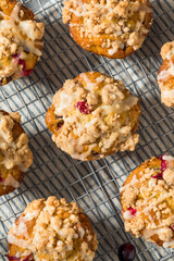 Autumn Homemade Cranberry Orange Muffins