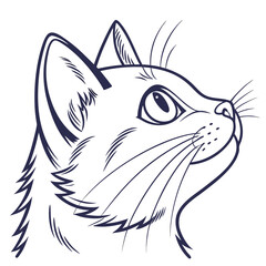 A striking minimalist line art illustration of a curious cat s head looking upwards with detailed whiskers expressive eyes and pointed ears against a clean white background
