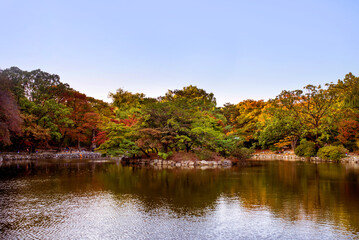 Changdeokgung, Seoul, South Korea, 11.02.2015:  Serene reflection of autumn trees in a calm pond in a Seoul park, showcasing the beauty of nature in the city