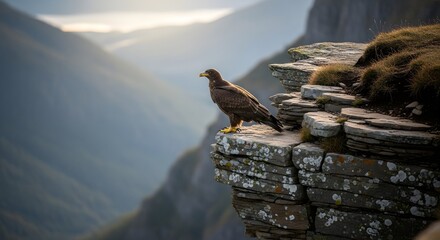 Golden eagle perched on rocky precipice with misty mountain backdrop