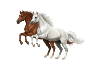 Dynamic Double Horse Jump with Energetic Pose 