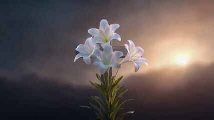Elegant white lily flower bloom sunrise, dewdrop petal, soft light background, calm mood, faith, christian hope with gentle stem and fresh green leaf in morning glow and misty sky scene