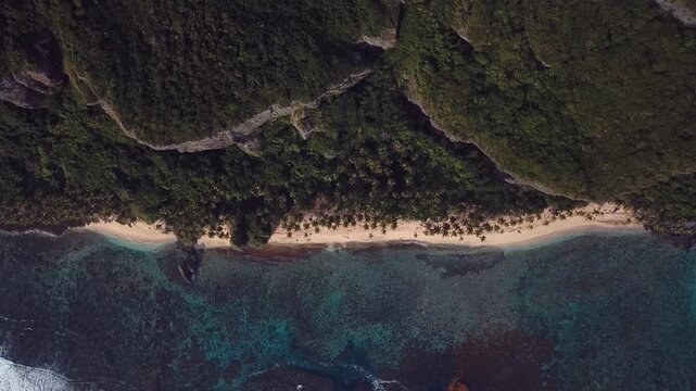 4k 24fps paradise beach with palms and mountains inthe back in the caribbean cental drone beach 2
