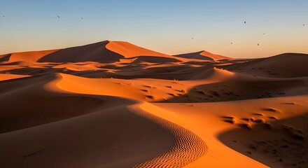 Golden hour light illuminates the sand dunes of the sahara desert