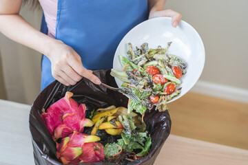 Compost from leftover food housekeeper woman, female hand holding salad dish or plate use fork...