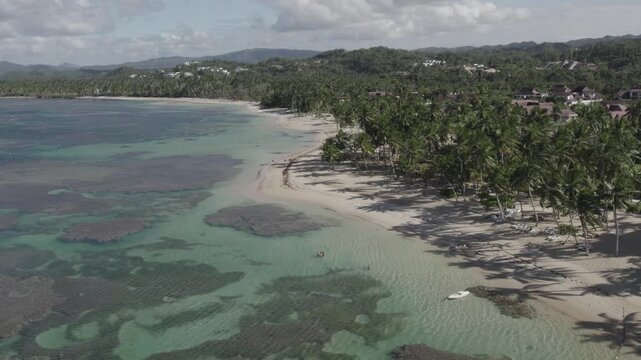 4k 60 fps in the caribbean drone shoot of the nature and palms trees in a turism beach 1