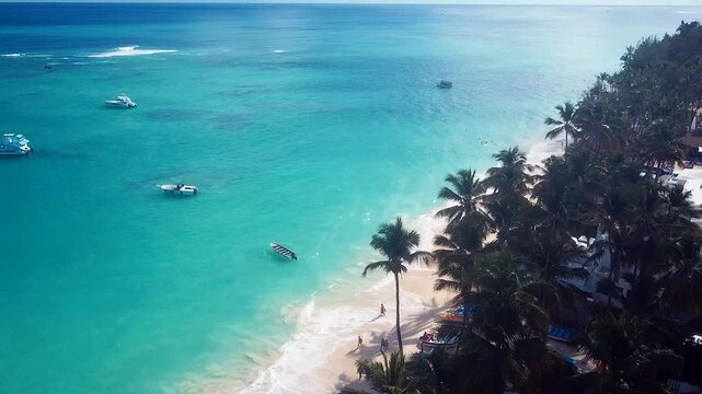 beach in the caibbean in the paradise punta canan 4k 24fps