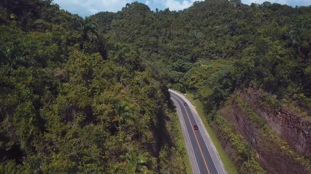 car in the road in the middle of mountains in the forrest 4k 24fps