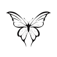 a hand drawn vector illustration symmetrical winged butterfly outline sketch tattoo design