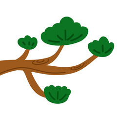 소나무,한국전통나무,나무배경